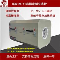 BGS-24-11高温老化试验箱 烘箱 立式炉